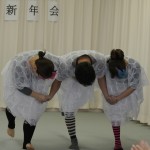 Ｈ26.1 (11)