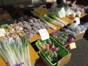 IMG_1089