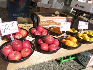 IMG_1123