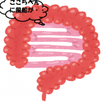 大腸加工