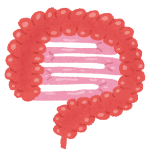 大腸