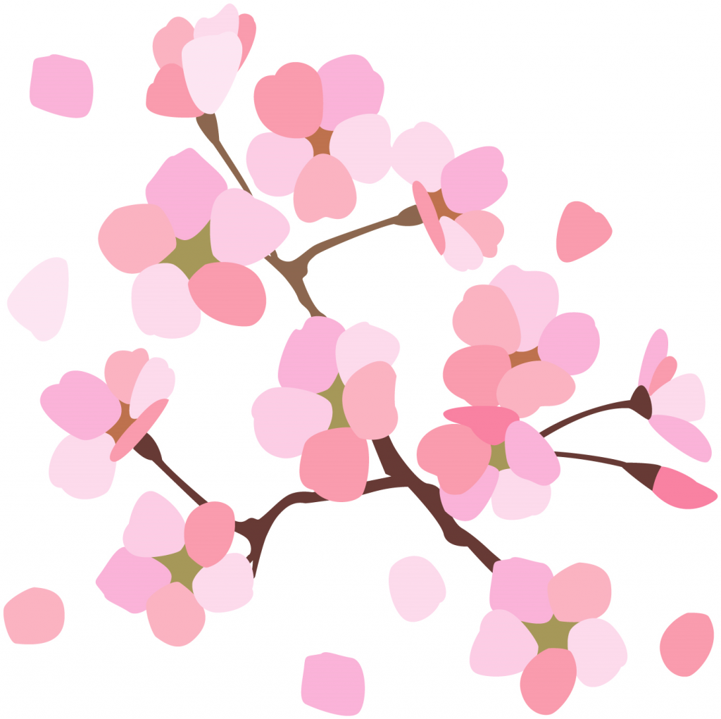 櫻1