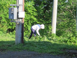 IMG_2327
