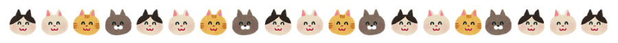 animal_cat