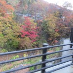 IMG_4292