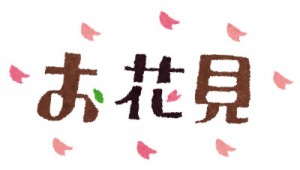 お花見