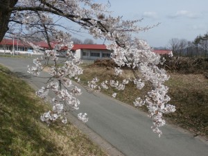 P4240010