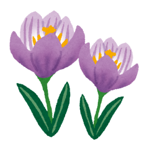 flower_crocus