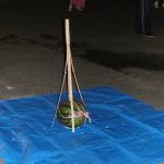 P8100132