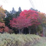 IMG_0201