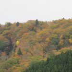 IMG_0233